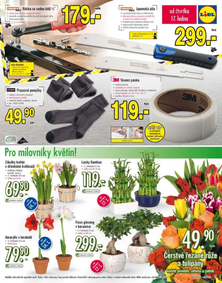 let�k Lidl Ak�n� nab�dka od 14.1.2013 strana 1