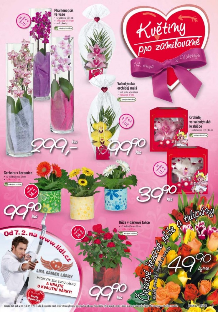 leták Lidl Akční nabídka od 11.2.2013 strana 1 leták Lidl Akční nabídka od 11.2.2013 strana 1