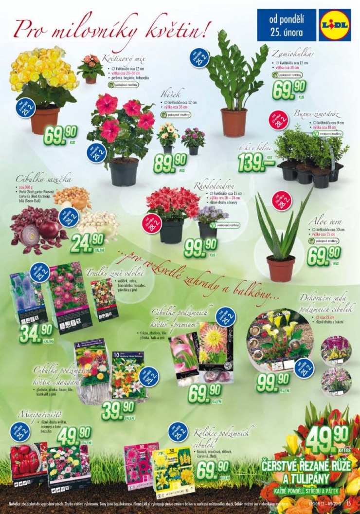 let�k Lidl Ak�n� nab�dka od 25.2.2013 strana 1