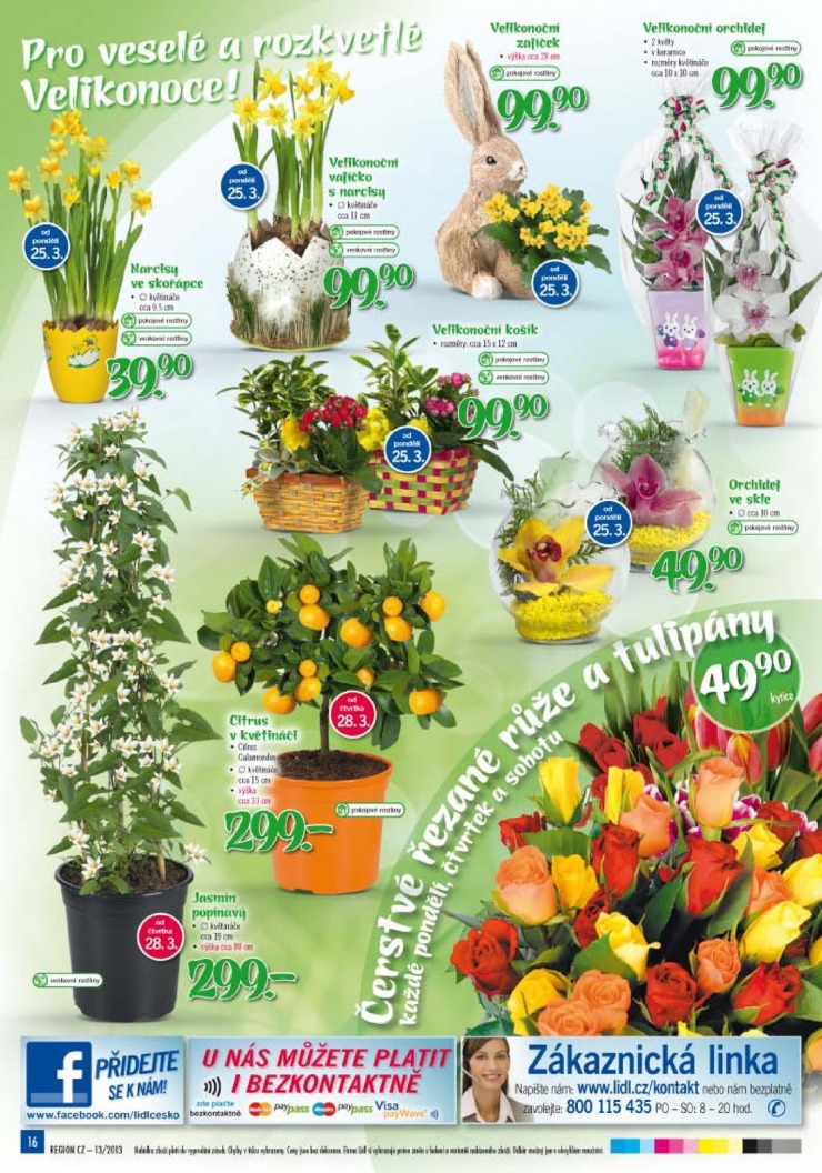 let�k Lidl Ak�n� nab�dka od 25.3.2013 strana 1