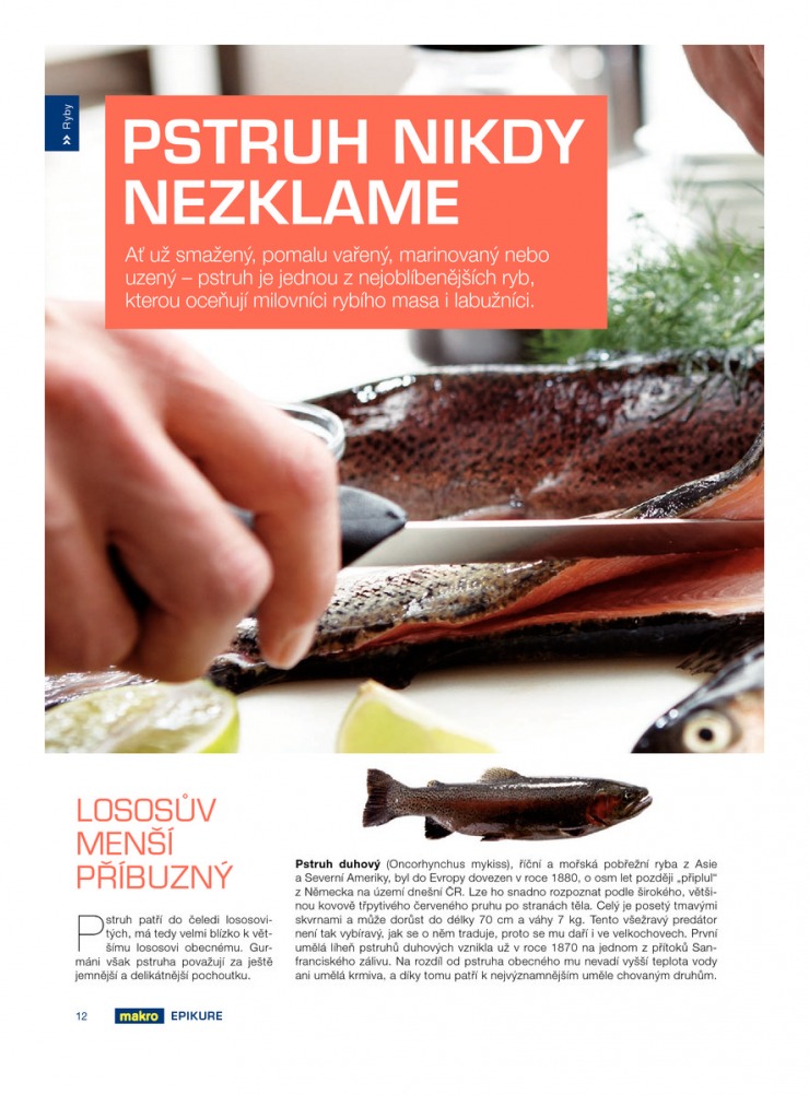 let�k Makro Epikure od 10.4.2013 strana 1