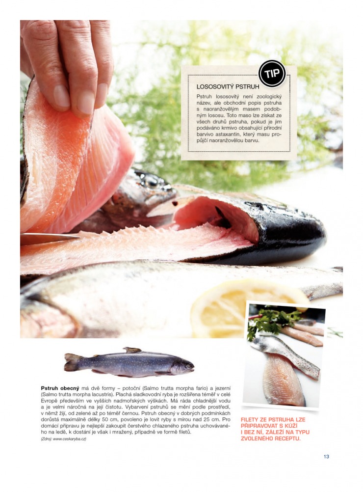 let�k Makro Epikure od 10.4.2013 strana 1