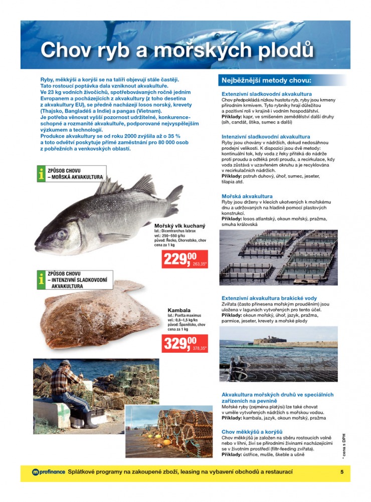 let�k Makro �erstv� potraviny od 5.6.2013 strana 1