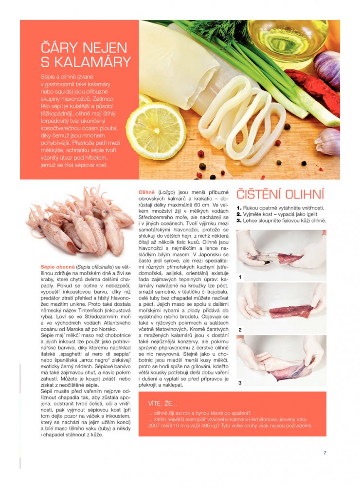 let�k Makro Epikure mo�sk� plody od 3. 7. 2013 strana 1