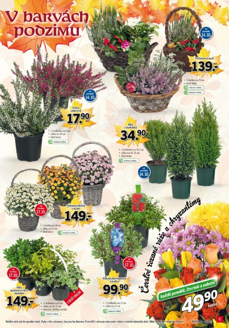 let�k Lidl Ak�n� nab�dka od 14.10.2013 strana 1