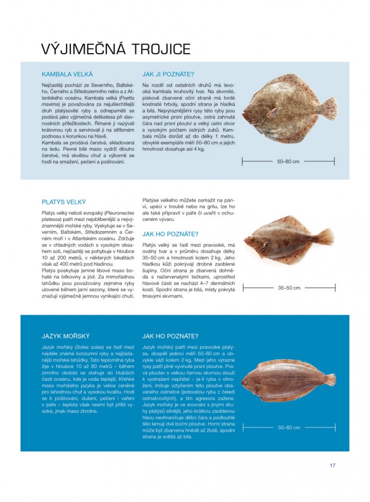 let�k Makro Epikure od 7.5.2014 strana 1