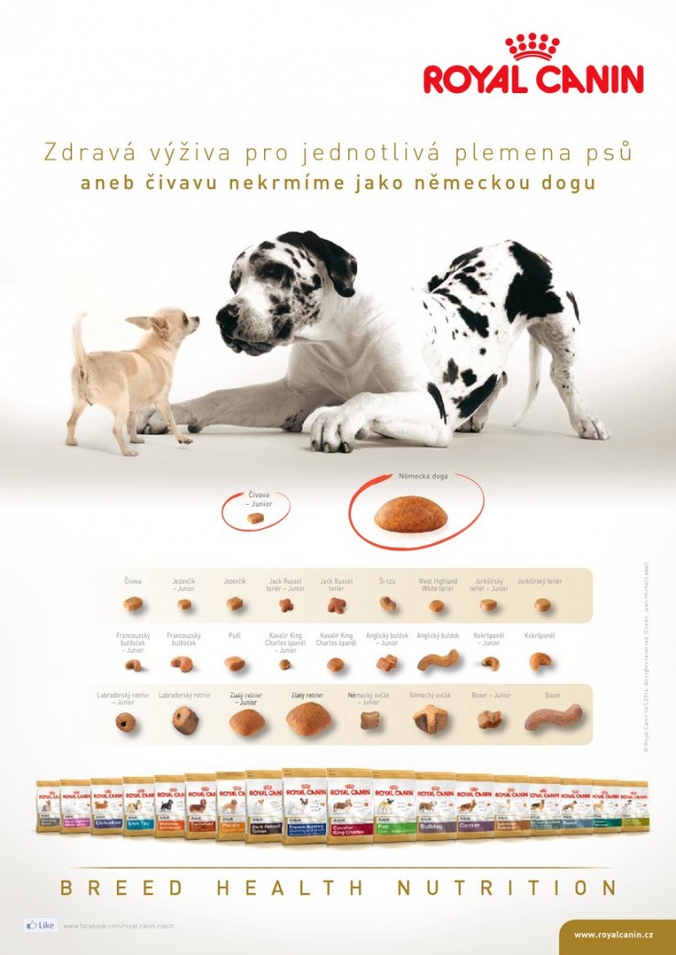 let�k Pet Center Ak�n� let�k od 1.6.2014 strana 1