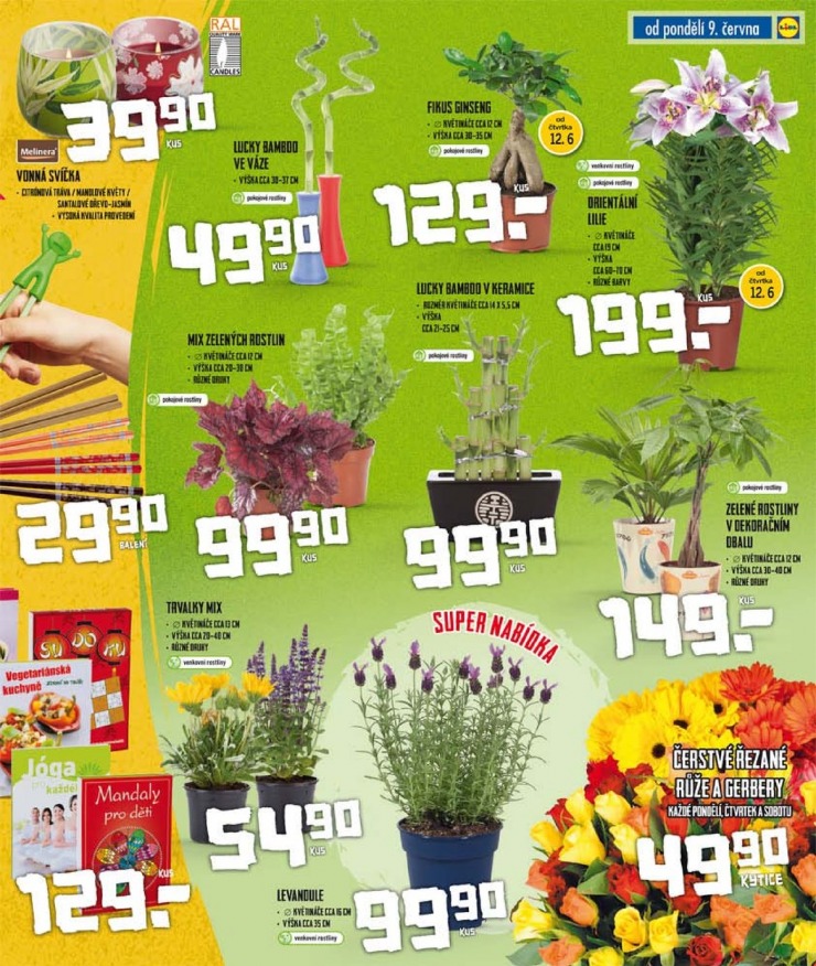 let�k Lidl Ak�n� nab�dka od 9.6.2014 strana 1