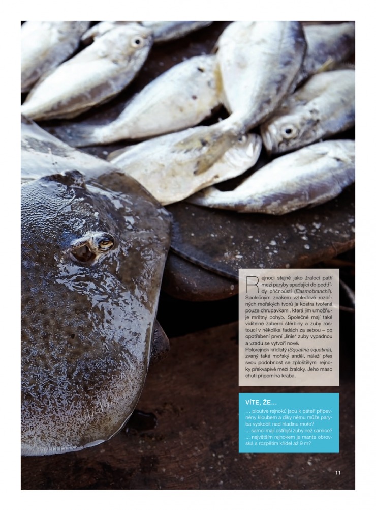 let�k Makro Epikure od 30.7.2014 strana 1