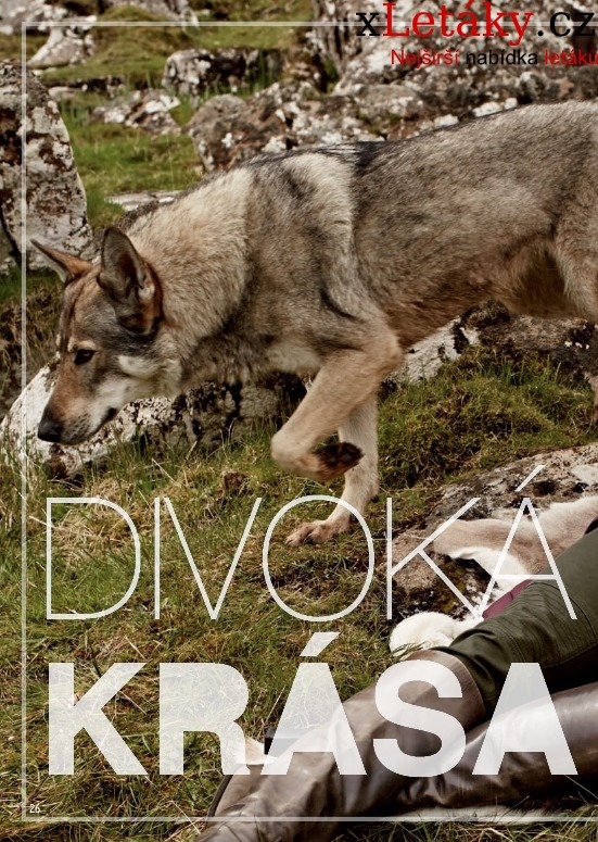 let�k Tchibo ak�n� let�k strana 1