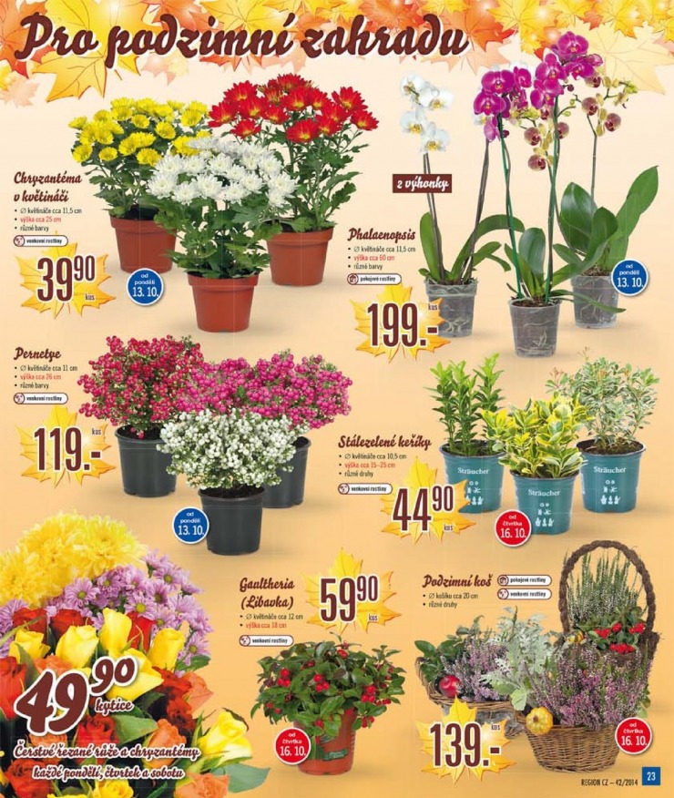 leták Lidl Akční nabídka od 13.10.2014 strana 1 leták Lidl Akční nabídka od 13.10.2014 strana 1