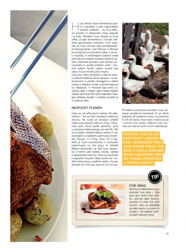 let�k Makro Epikure od 22.10.2014 strana 1