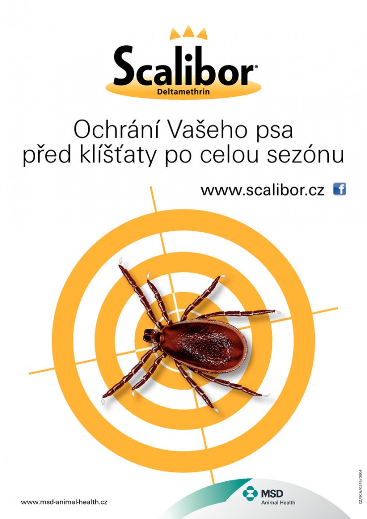 let�k Pet Center Ak�n� let�k od 1.3.2015 strana 1