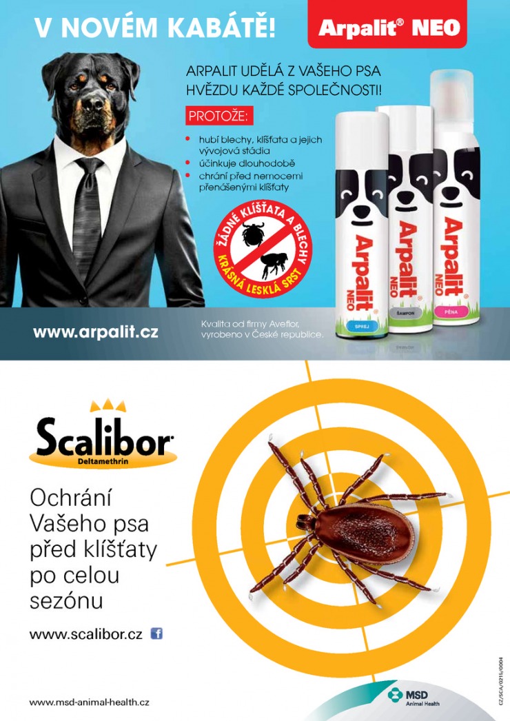 let�k Pet Center Ak�n� let�k od 1.4.2015 strana 1