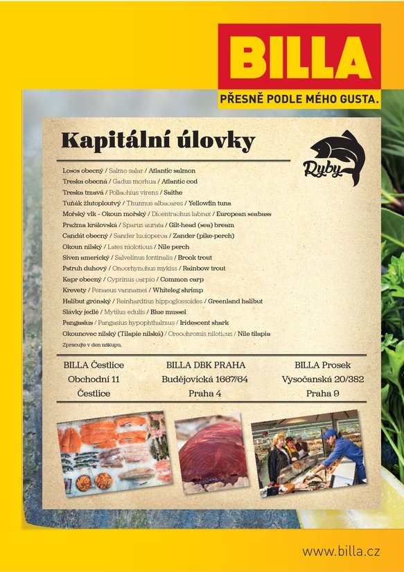 leták Billa Čerstvé ryby od 15.4.2015 strana 1 leták Billa Čerstvé ryby od 15.4.2015 strana 1