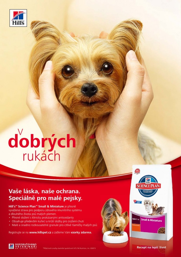 let�k Pet Center Ak�n� let�k od 1.6.2015 strana 1