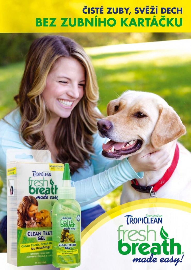 let�k Pet Center Ak�n� let�k od 1.6.2015 strana 1