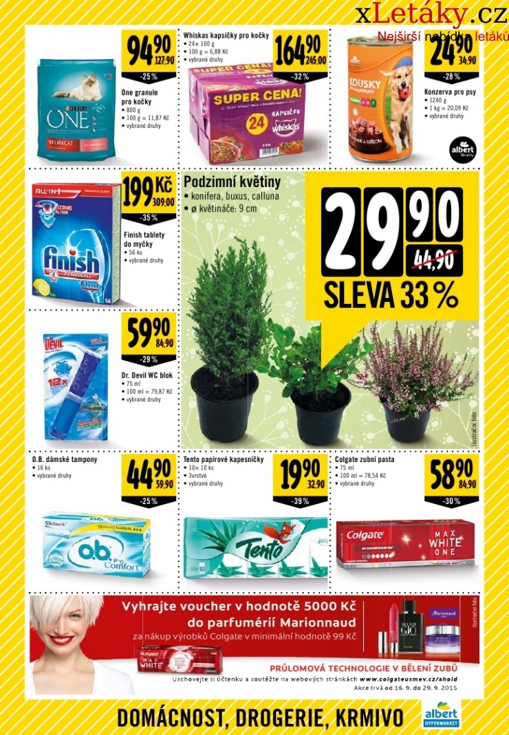 let�k Albert Hypermarket let�k strana 1